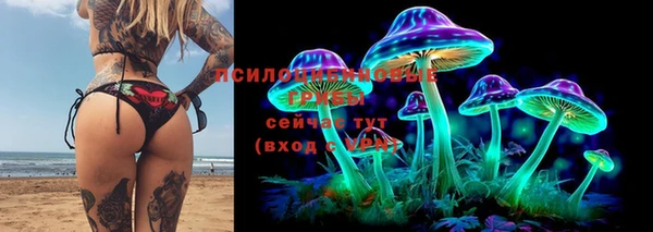mix Богородск