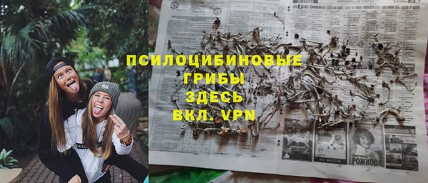 2c-b Богданович