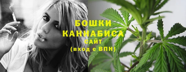 mix Богородск